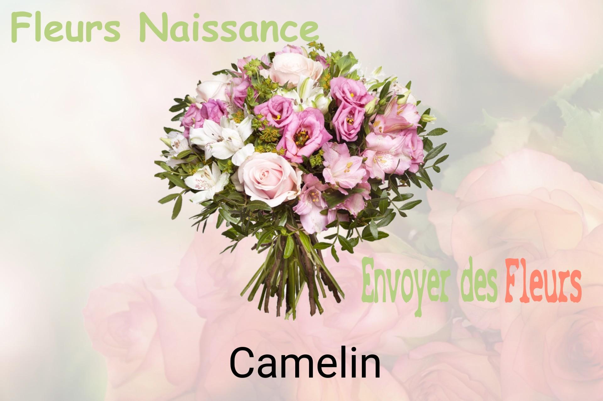 Bouquet de fleurs de naissance livré à Camelin